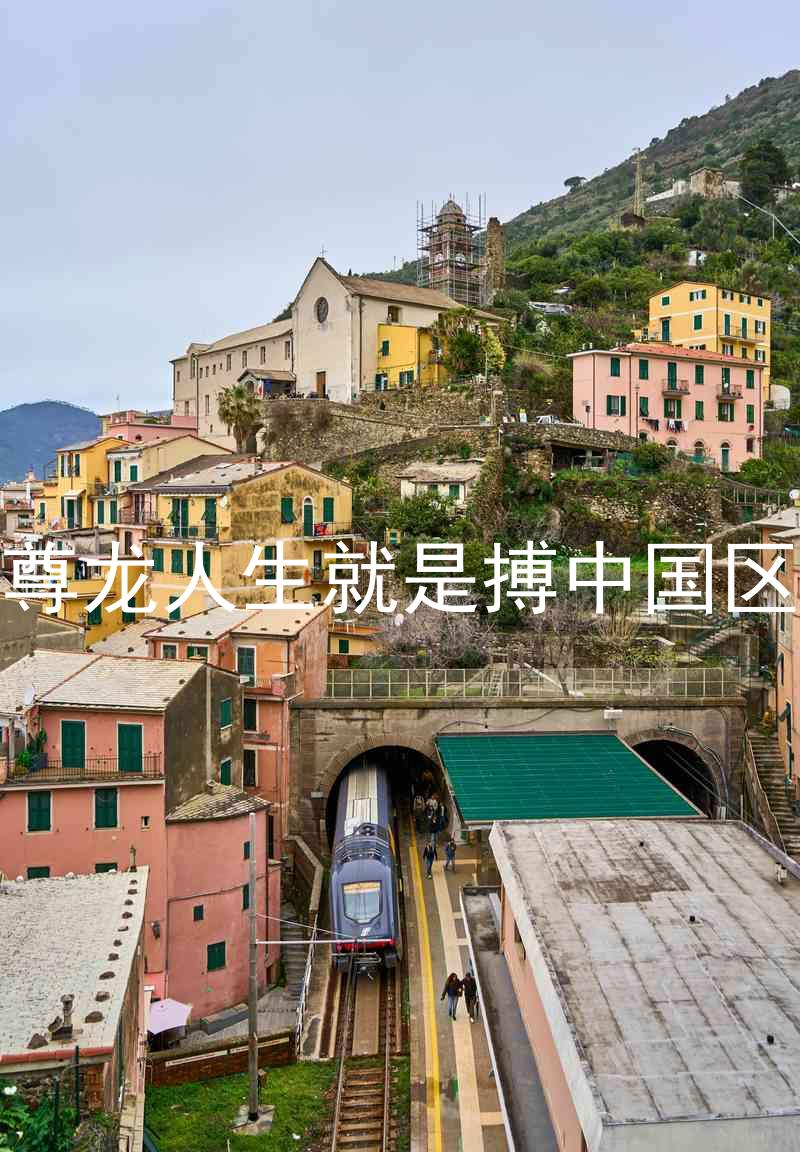 尊龙人生就是搏中国区